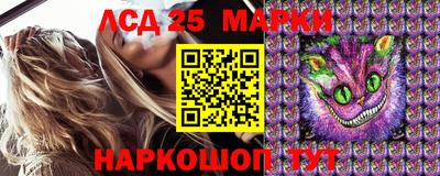 spice Кимры