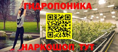 spice Кимры