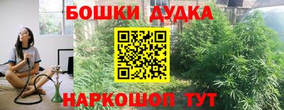 Альфа ПВП Кингисепп