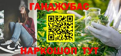 Альфа ПВП Кингисепп