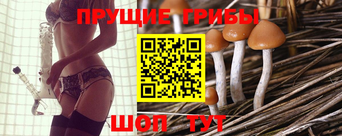 Новочебоксарск  Псилоцибиновые грибы Psilocybe  Вход с VPN 